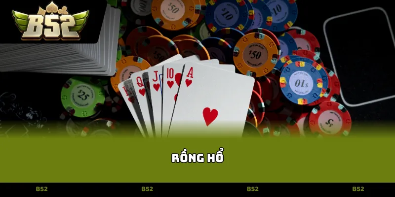 rồng hổ